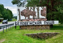 Беловежская Пуща