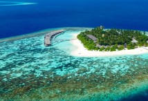 Риф отеля Kandolhu Maldives - Северный Ари
