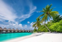 ����� �� ��������� - ������� ������� ������