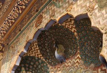 �������� ����������� � ����������