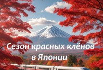 Осень в ЯПОНИИ - сезон Красных Кленов