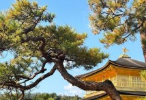 ������� �������� � ����� - ������