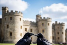 ������ ������ � �������