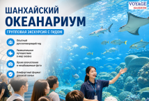 Экскурсионный тур в Китай с детьми - Океанариум