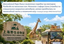 Экскурсионный тур в Китай с детьми - Сафари-парк в Шанхае