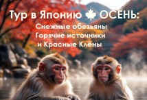 снежные обезьяны в горячих источниках в японии